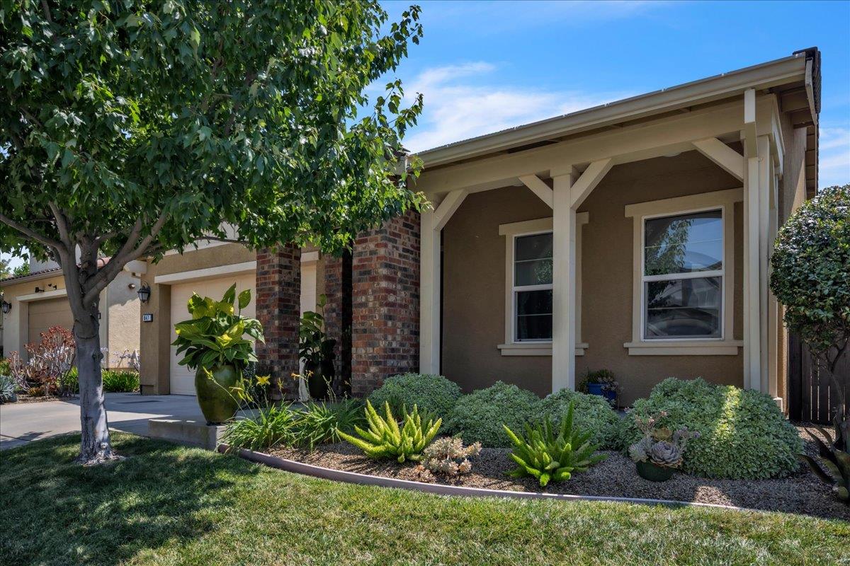 847 Calico Drive