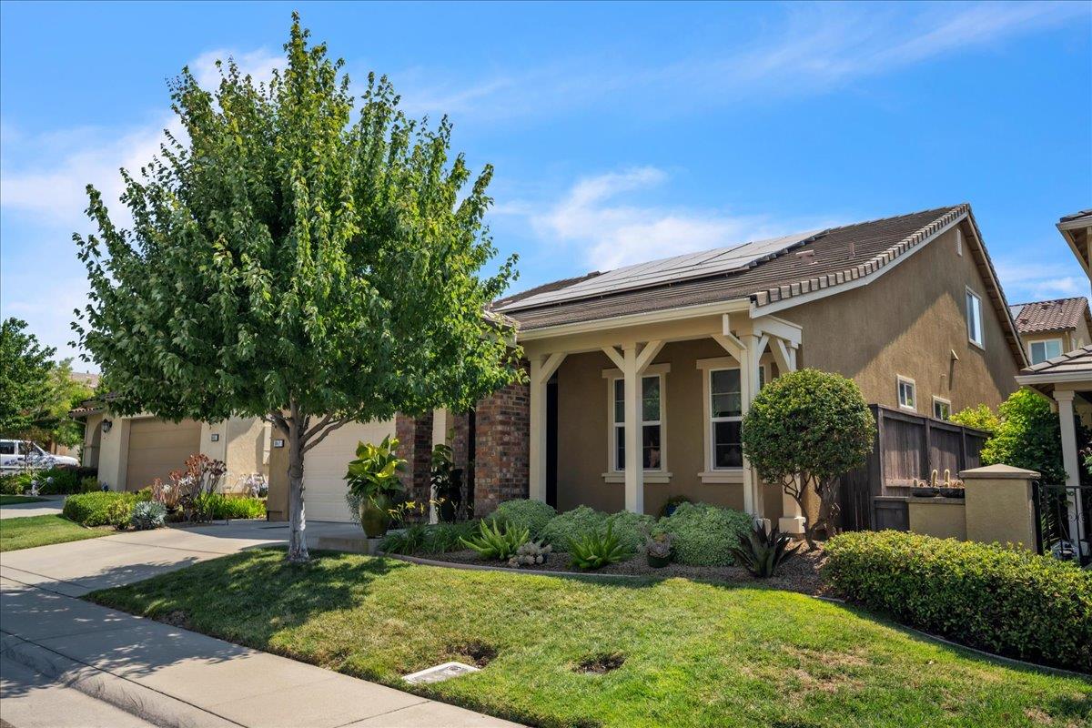847 Calico Drive