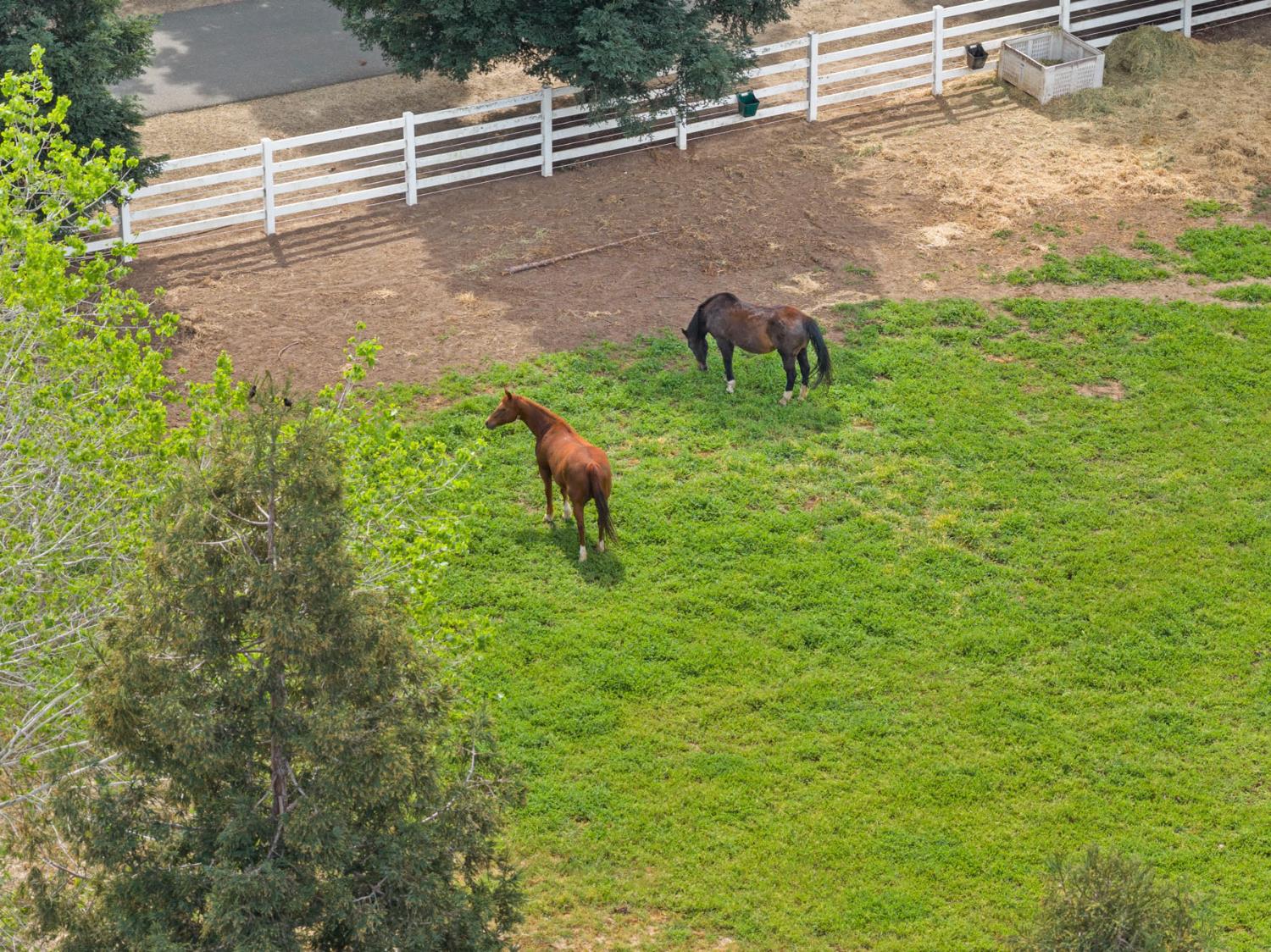 24521 N Mcintire Road