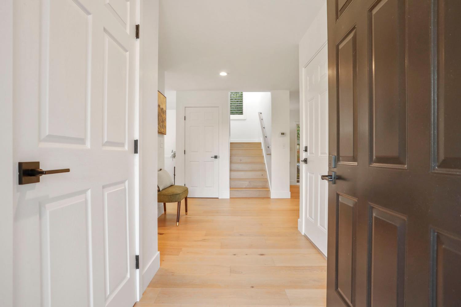 1133 Tokay Common
