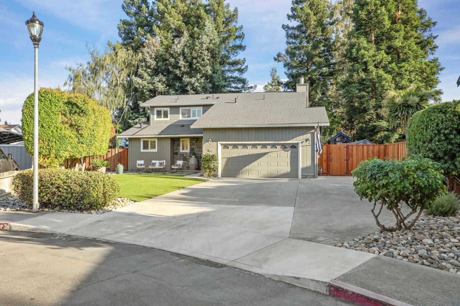 1133 Tokay Common
