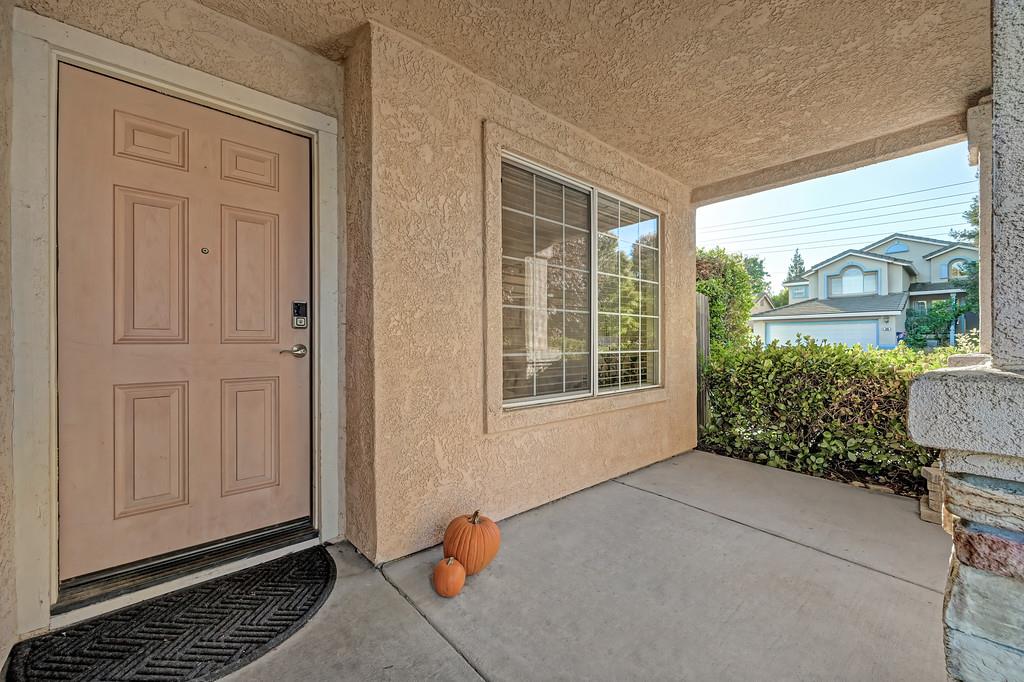 1625 Jonquil Drive