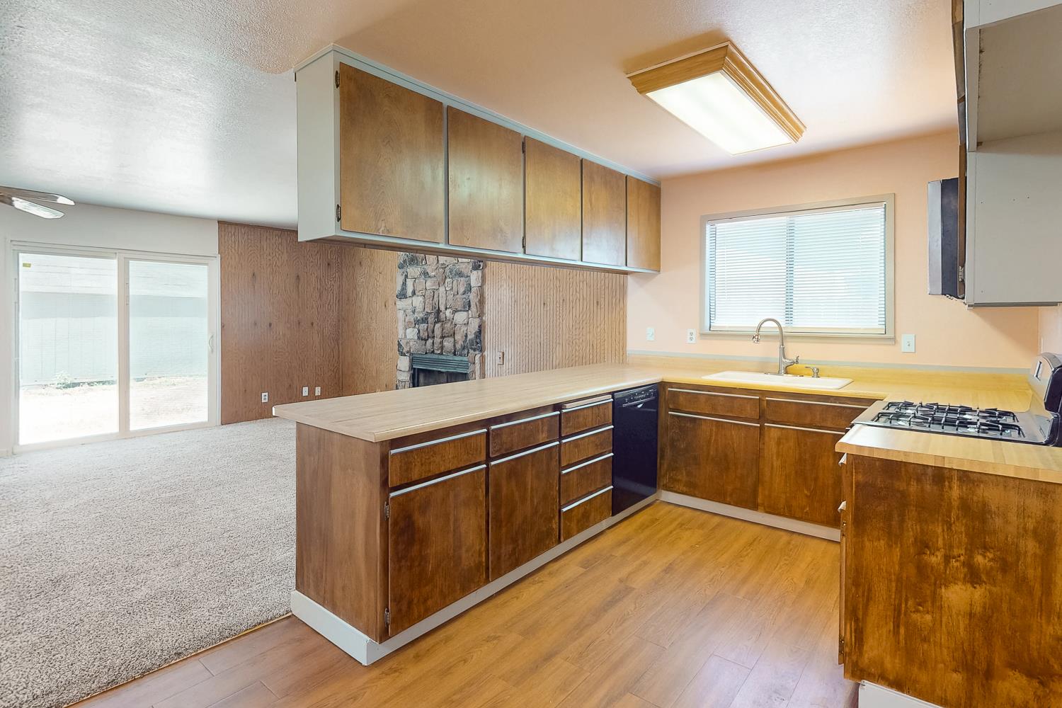 1387 Lisa Way