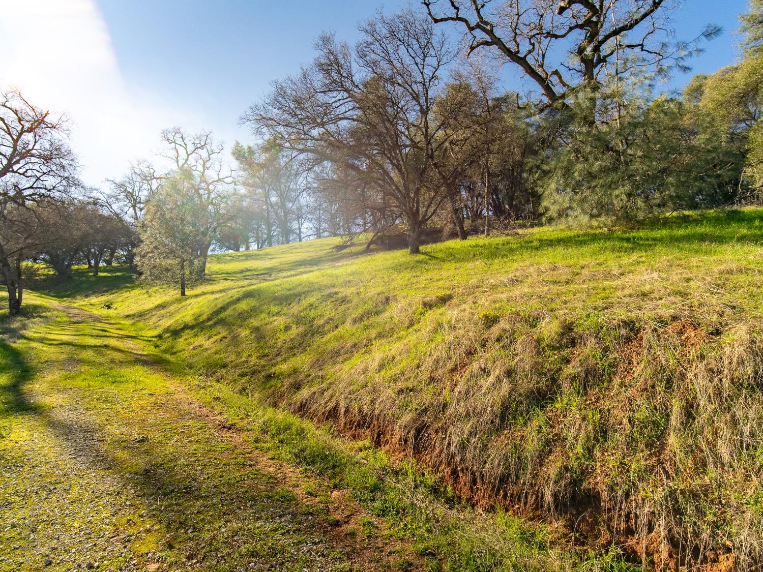 2241 Sand Ridge Road