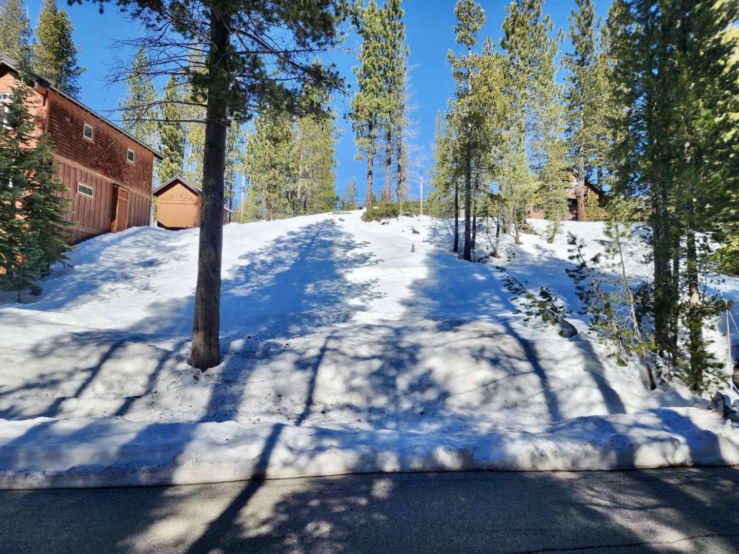 50926 Conifer Drive