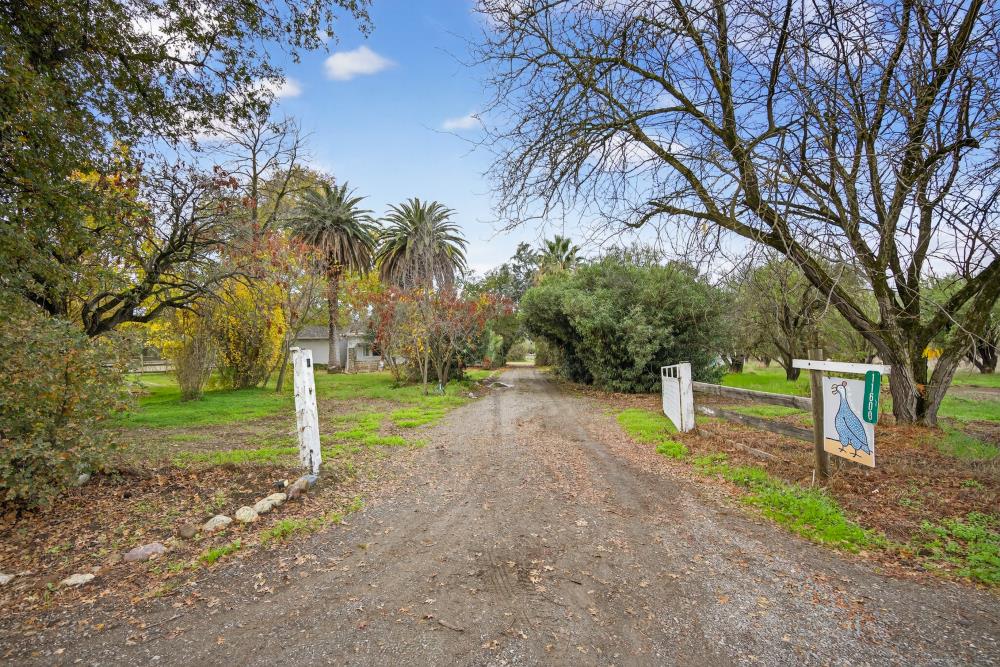 11600 State Highway 16