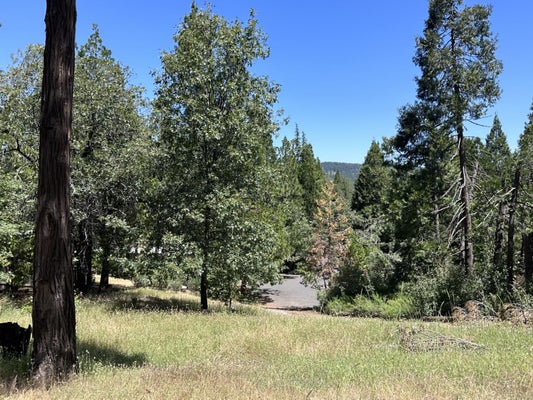 3720 CEDAR VISTA DR, MURPHYS, CA 95247 - Image db7de3feb518857beac2cfee34b9af3b/3619149060