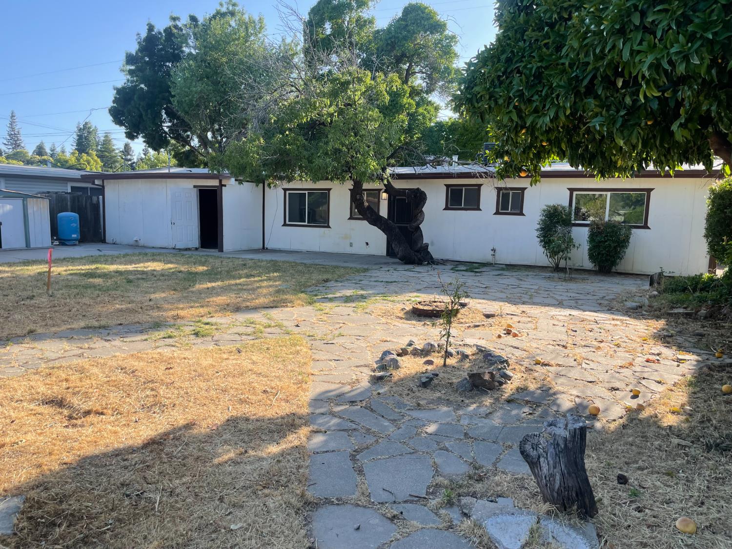 2441 Madrone Street