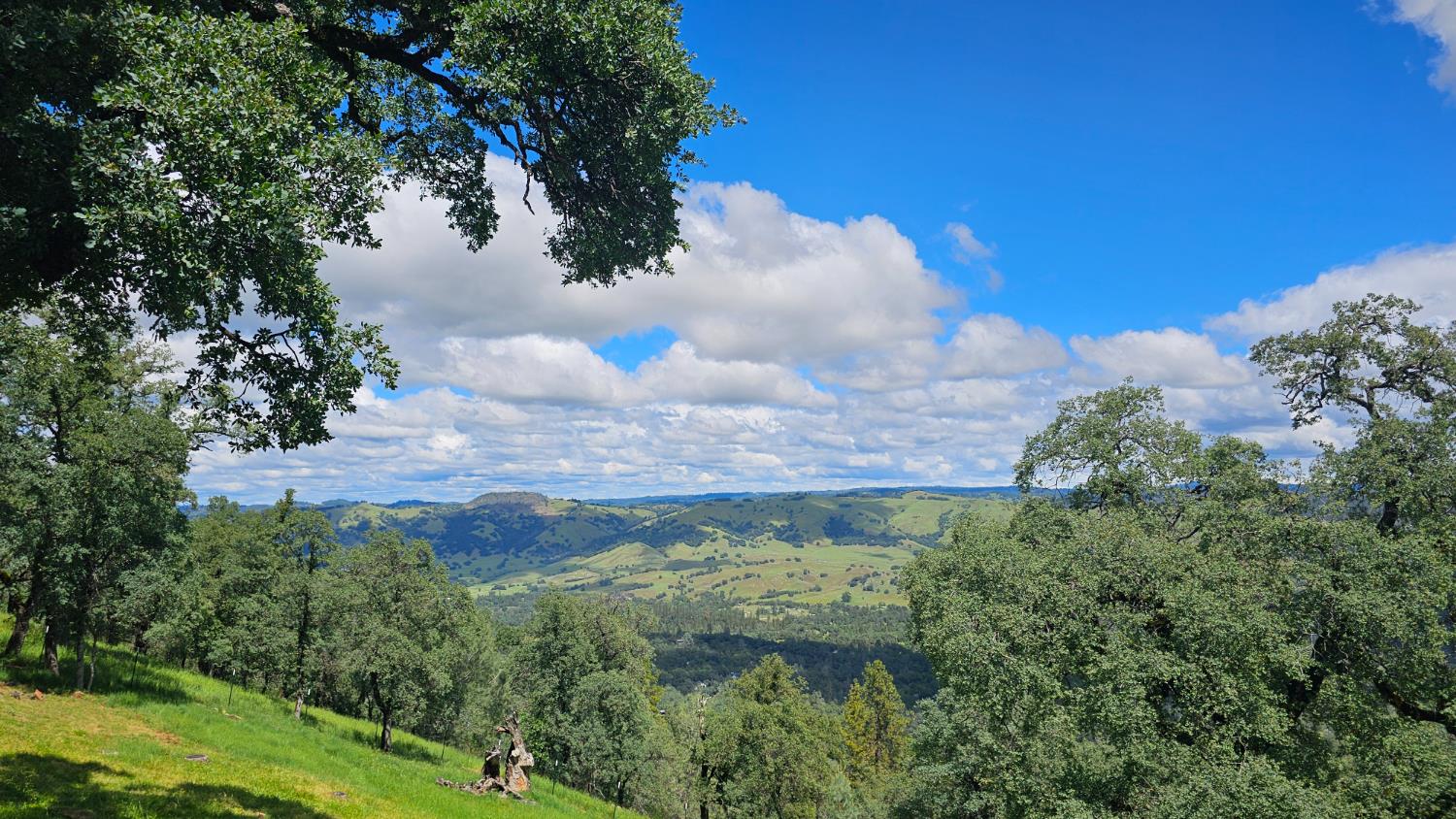 4101 Birdseye View Lane