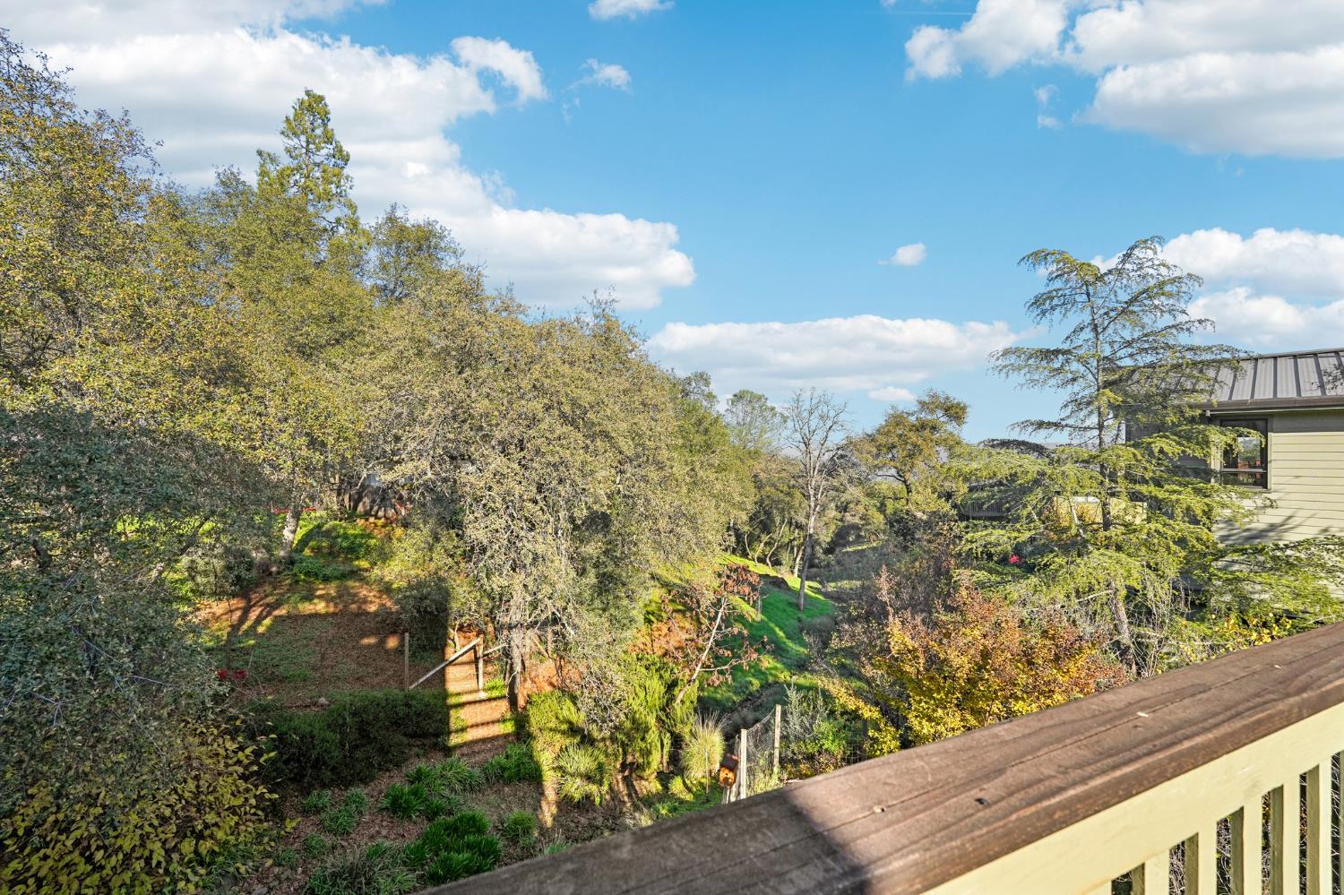 434 Olive Orchard Drive