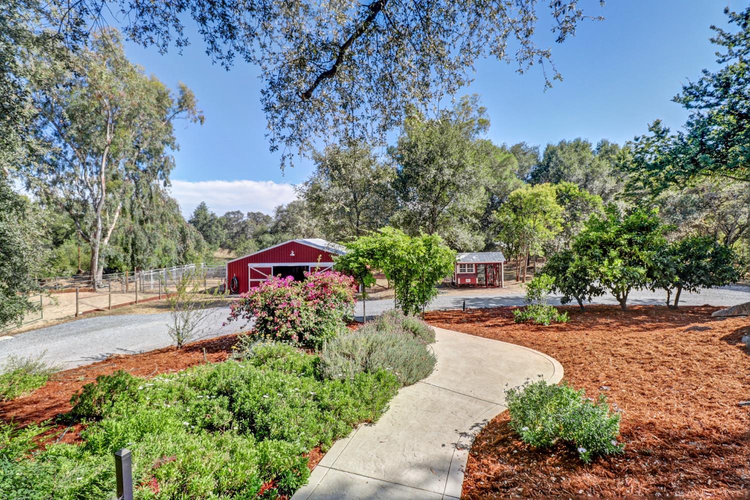 3625 Whiskey Hill Road