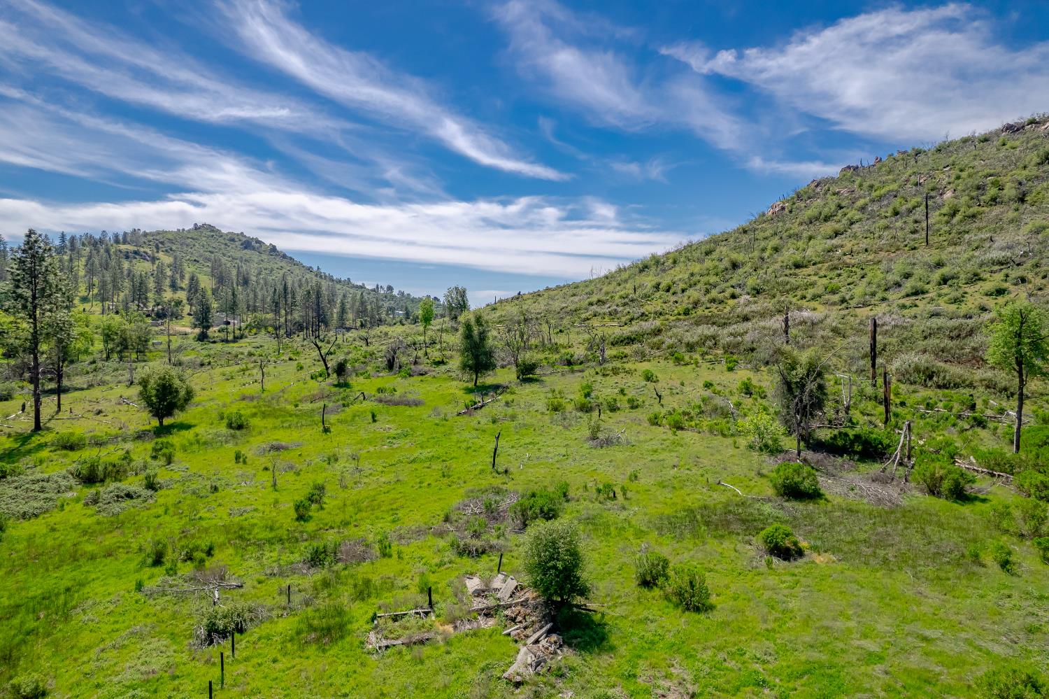 11923 Loma Rica Road