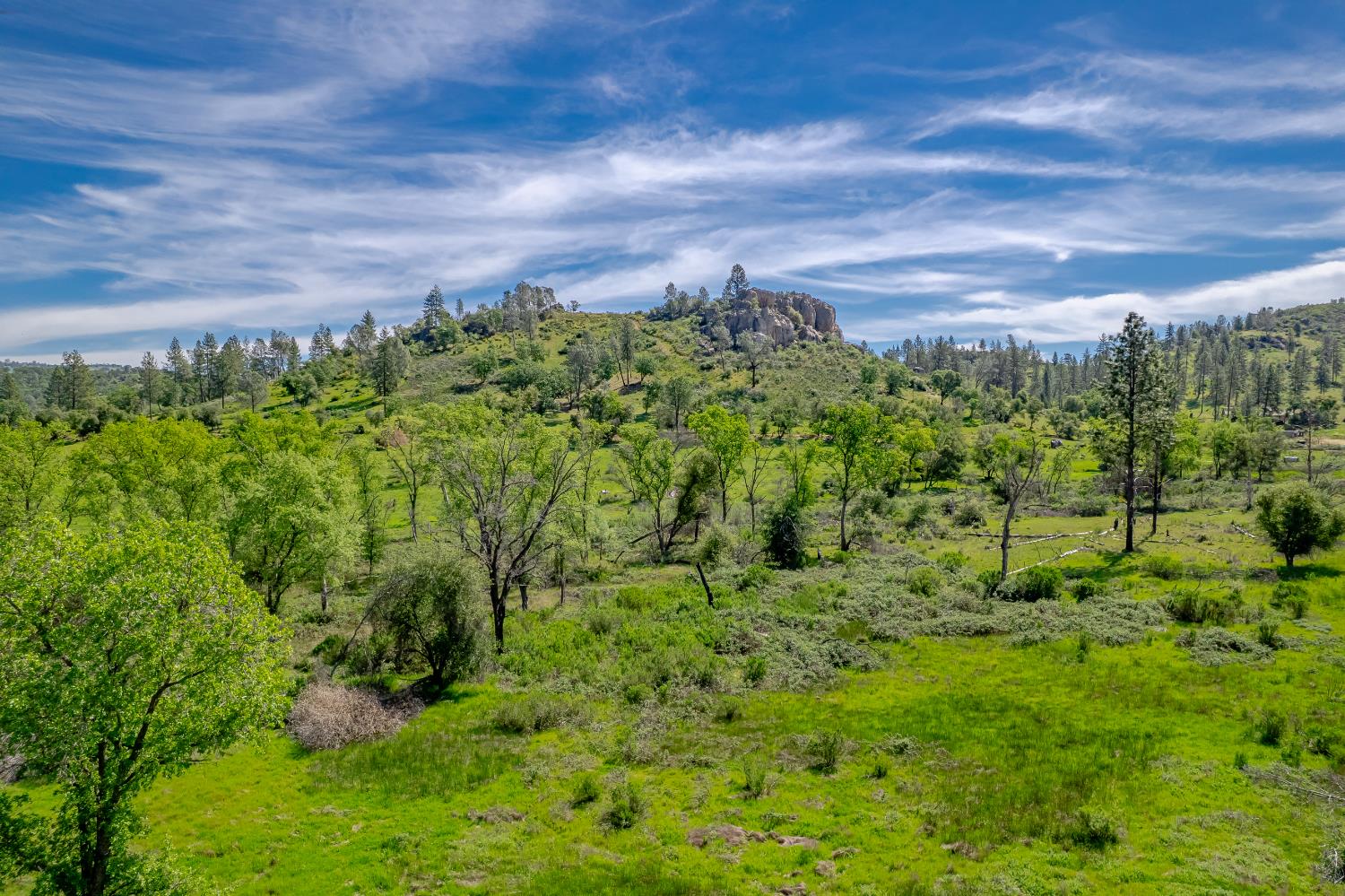 11923 Loma Rica Road