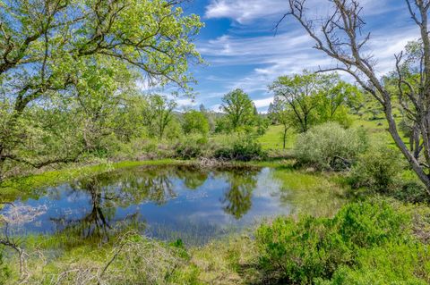 11923 Loma Rica Road Marysville CA 95901