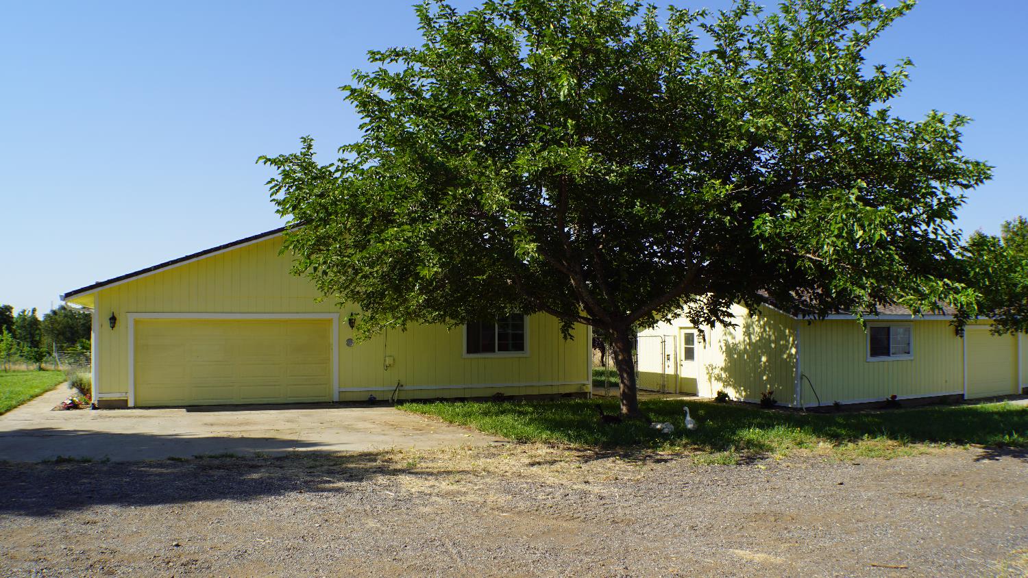 12156 Scott Grant Road