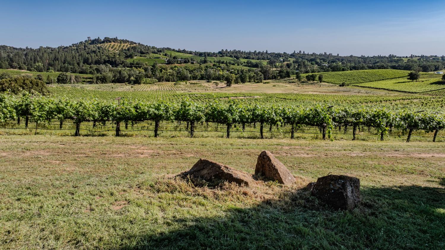 12551 Steiner Road