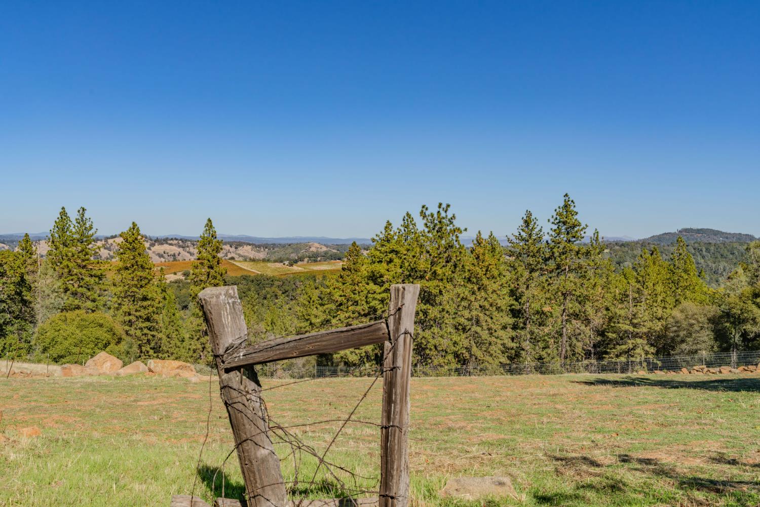 12551 Steiner Road