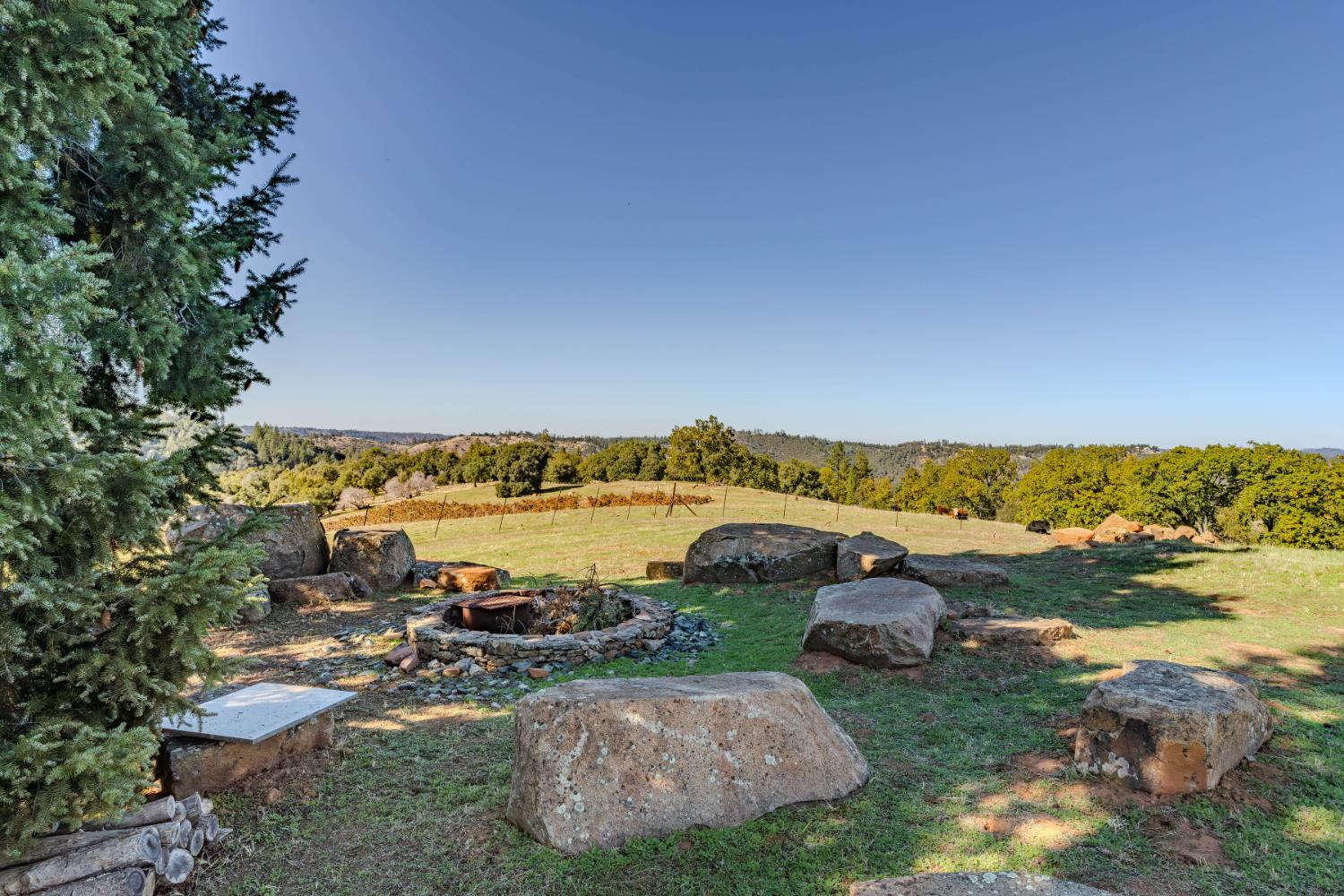12551 Steiner Road