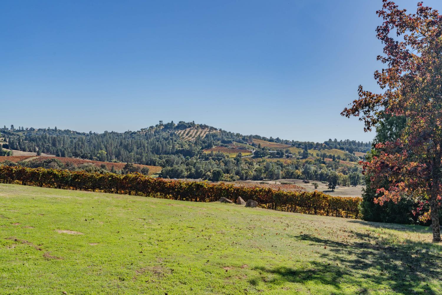 12551 Steiner Road