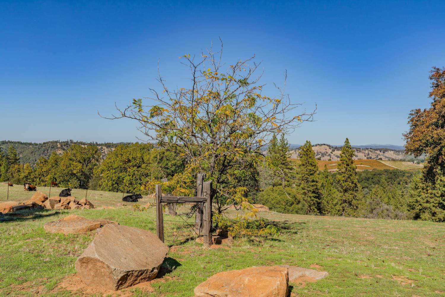 12551 Steiner Road