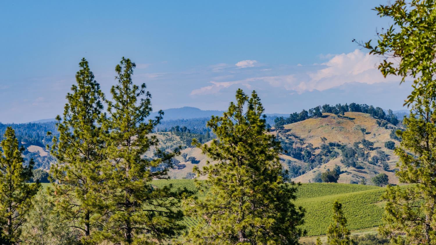 12551 Steiner Road