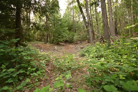 0 Slalom Lane Pollock Pines CA 95726