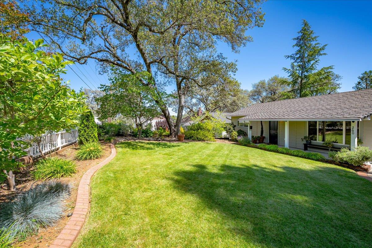 260 Greenfield Avenue