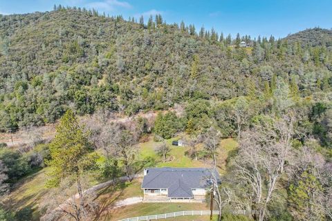 16101 Valley Bottom Road, Sutter Creek, CA 95685 - MLS#: 225017311