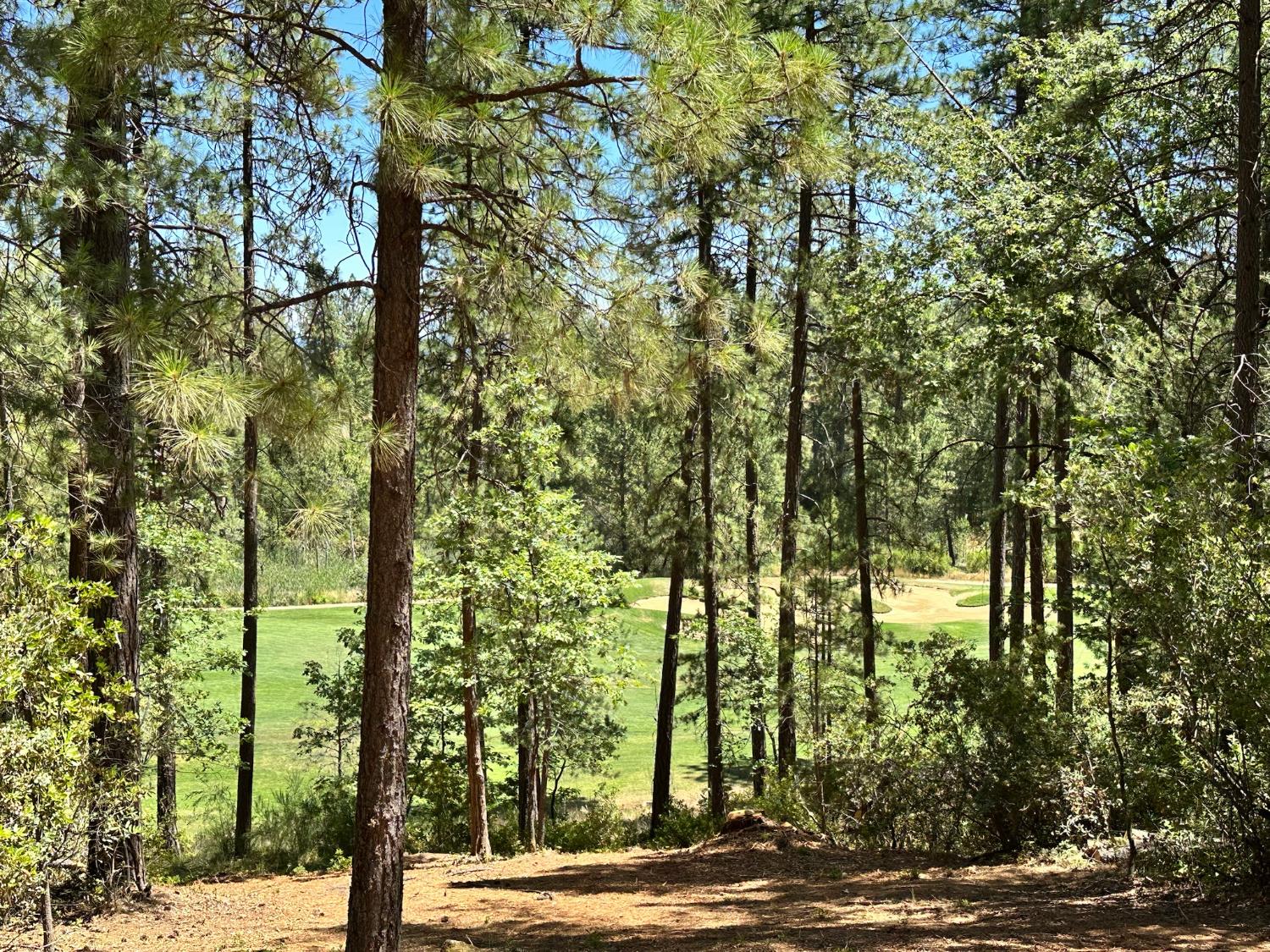 1815 E Summit View Drive