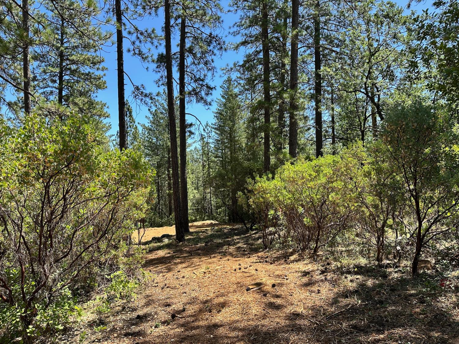 1815 E Summit View Drive