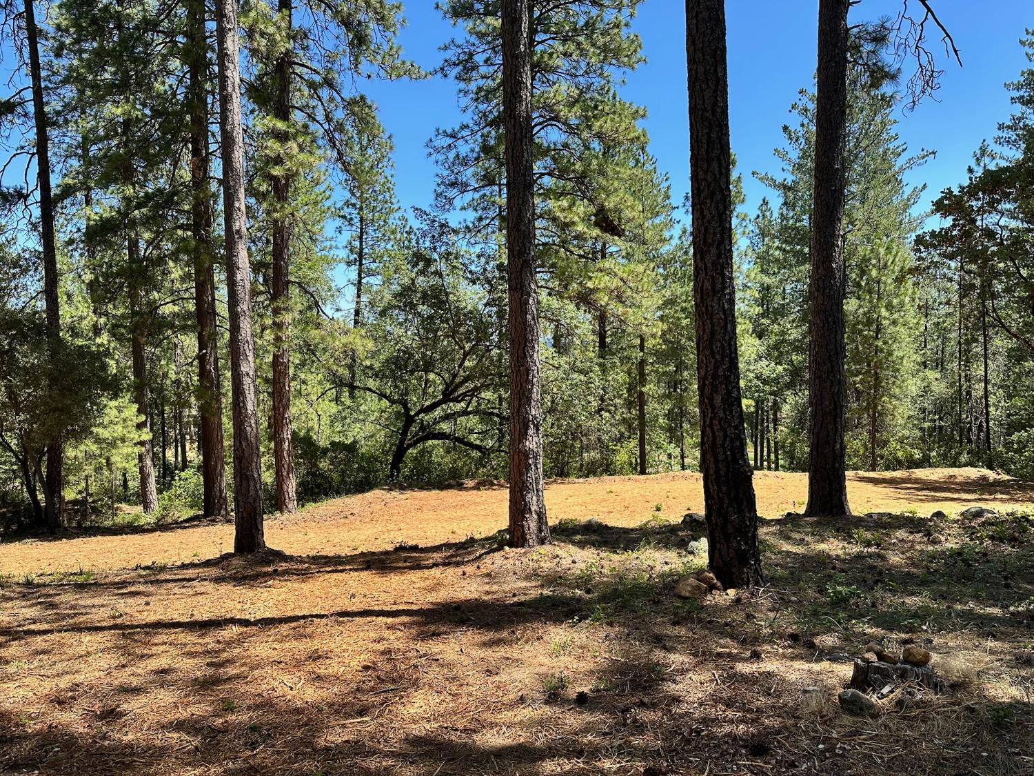 1815 E Summit View Drive