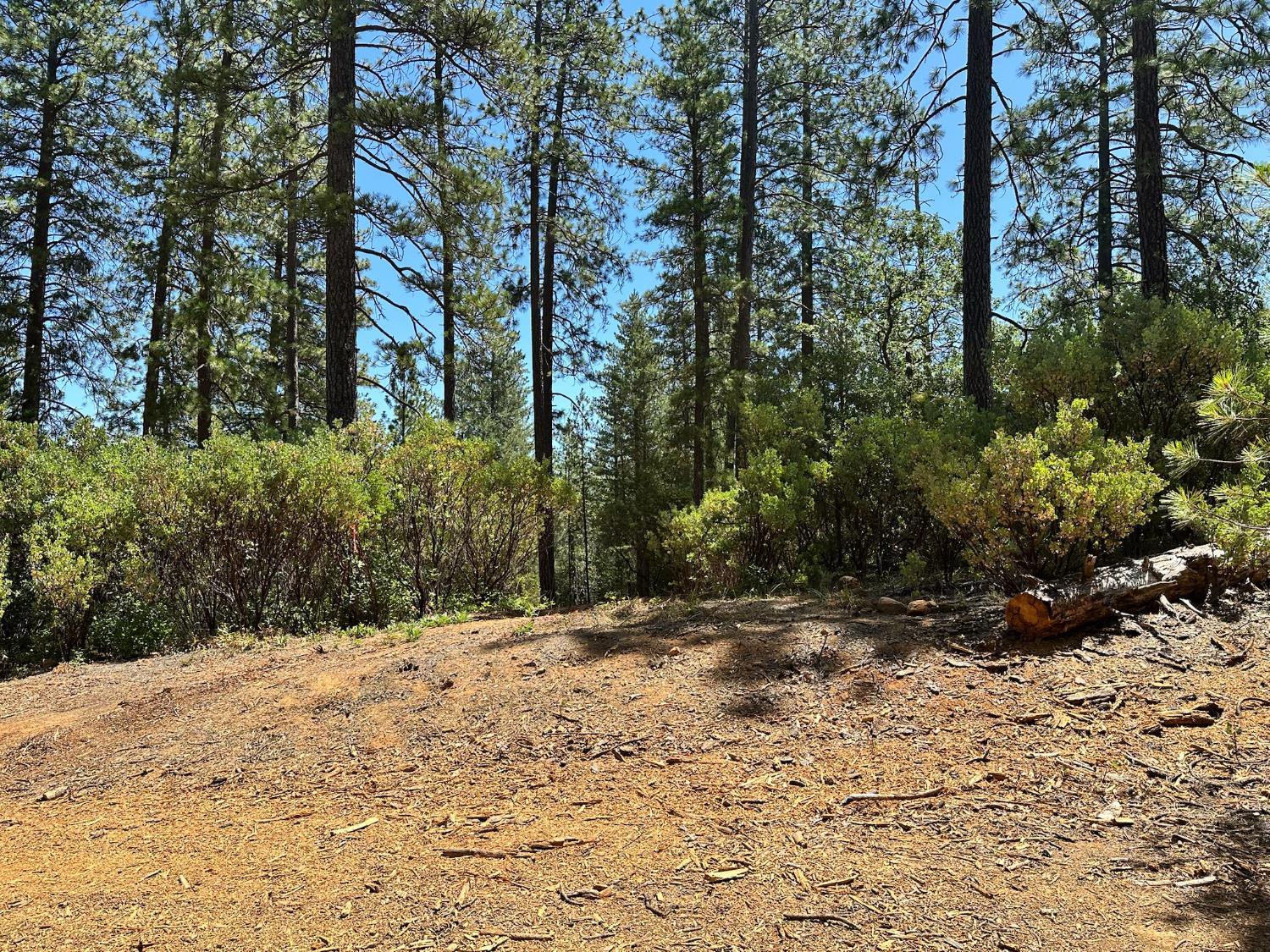 1815 E Summit View Drive