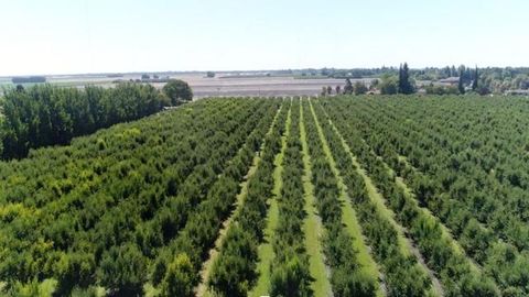 0 River Road Courtland CA 95615