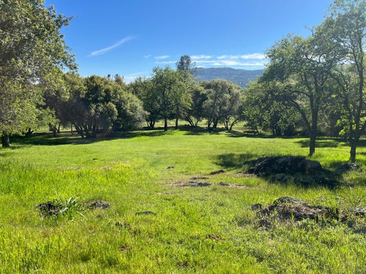 255 BLAIR MINE RD, ANGELS CAMP, CA 95222 - Image dec0db048a5b1877a311e415d8ea3d75/3079421819