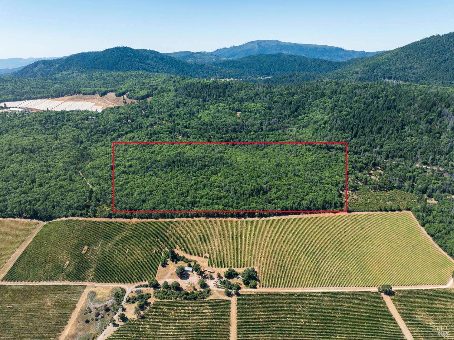 9600 Seigler Springs North Road