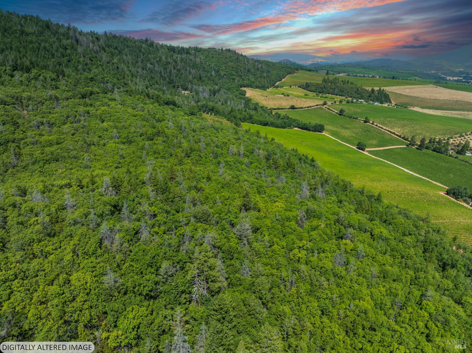 9600 Seigler Springs North Road