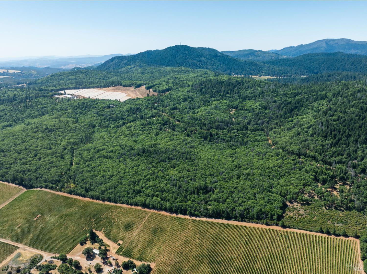 9600 Seigler Springs North Road