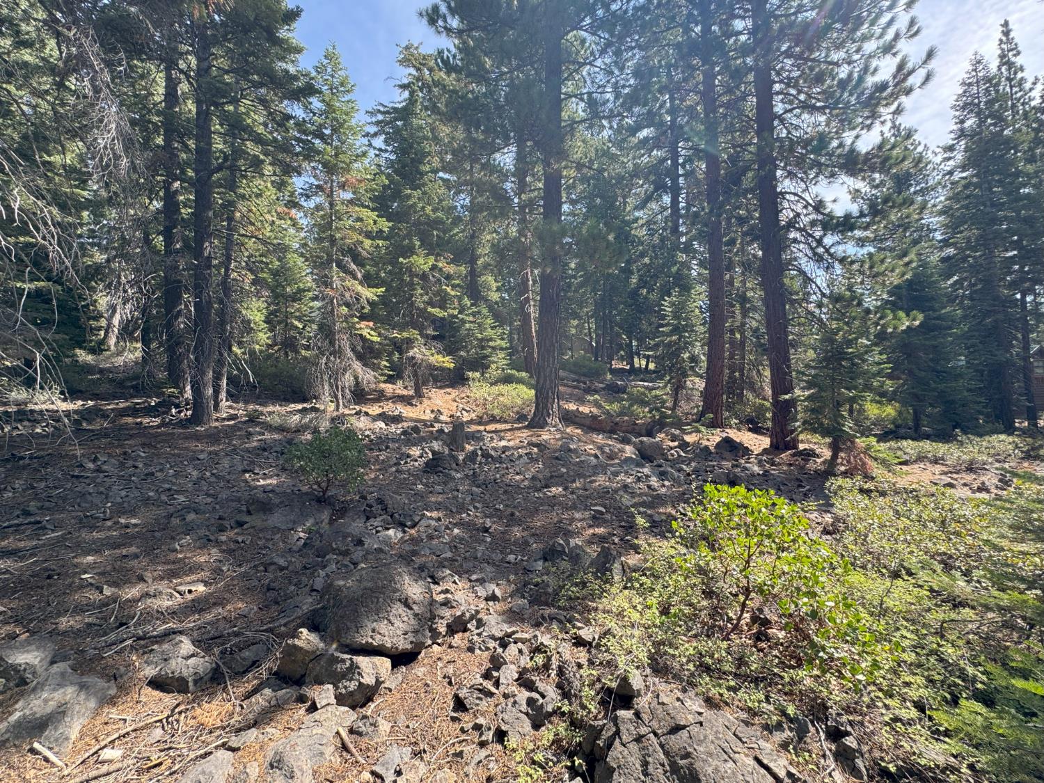 5255 N Lake Boulevard