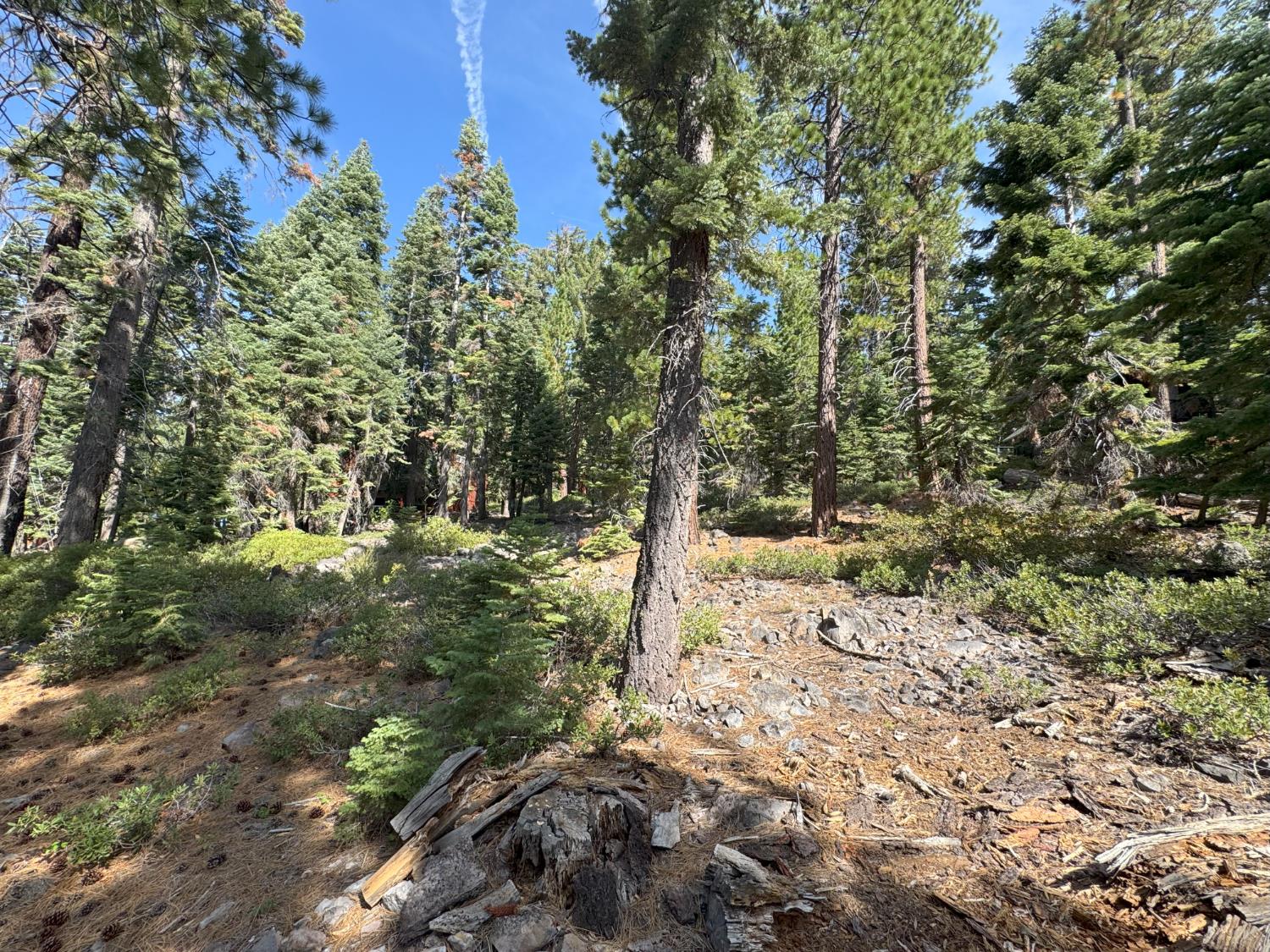 5255 N Lake Boulevard