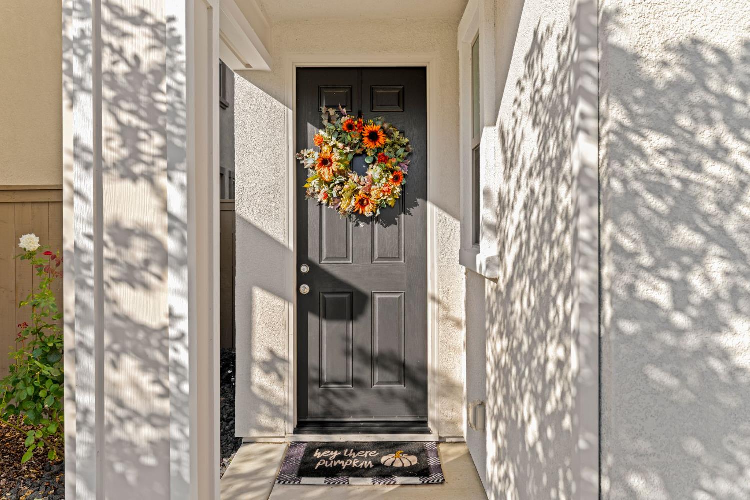 3017 Checkerspot Street