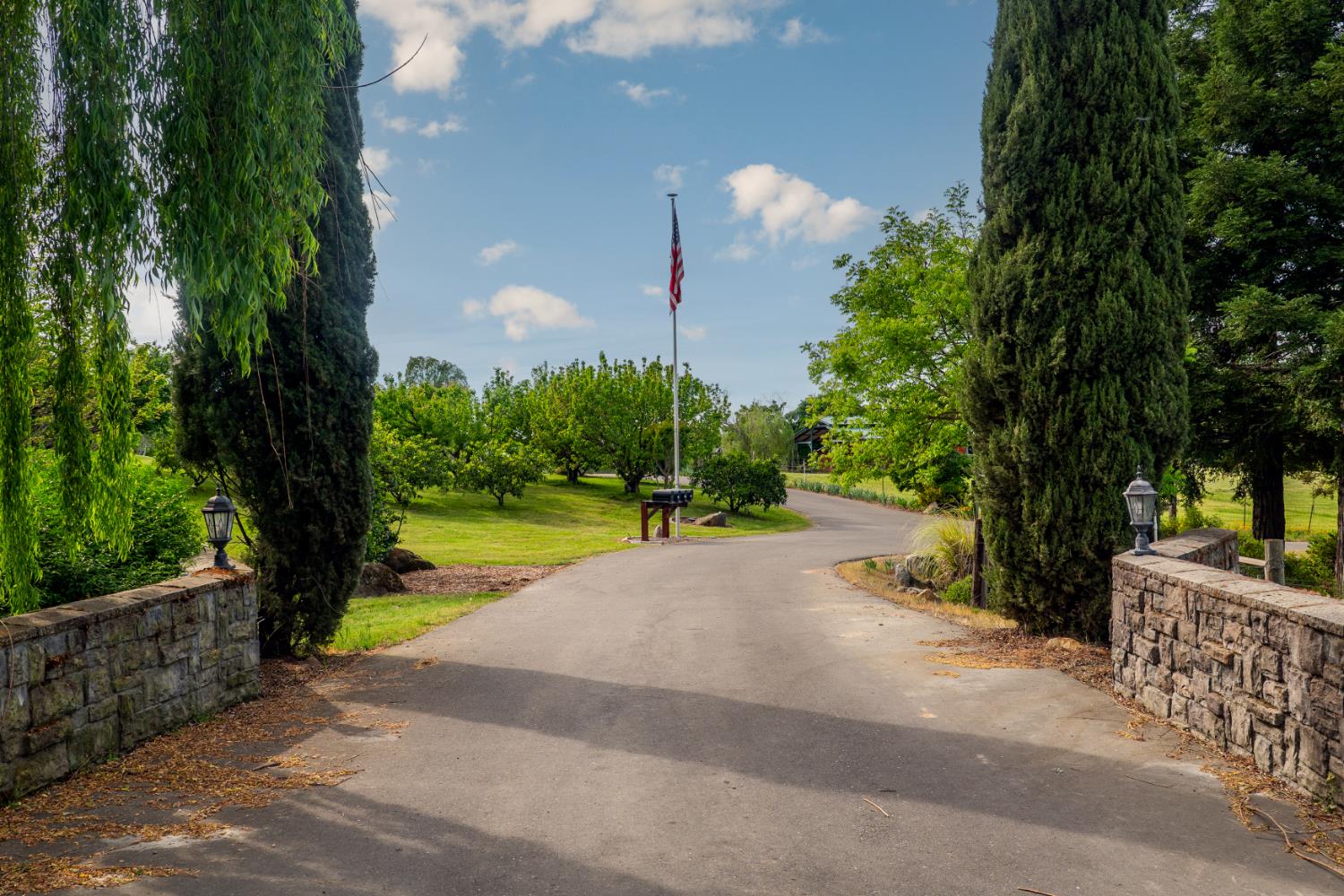 265 Grapevine Ravine Lane