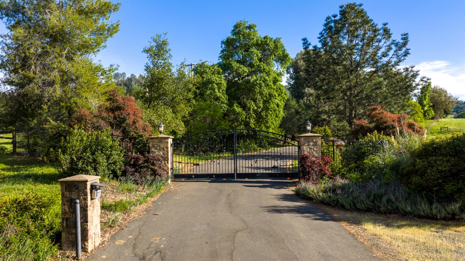 265 Grapevine Ravine Lane