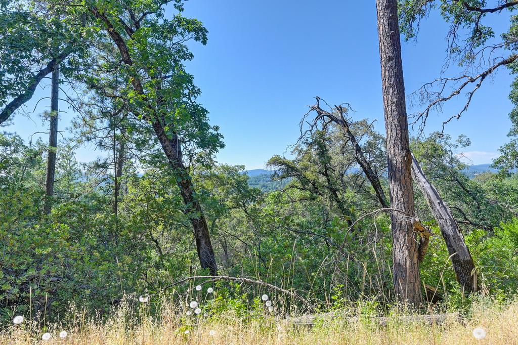 24316 Timber Ridge Drive