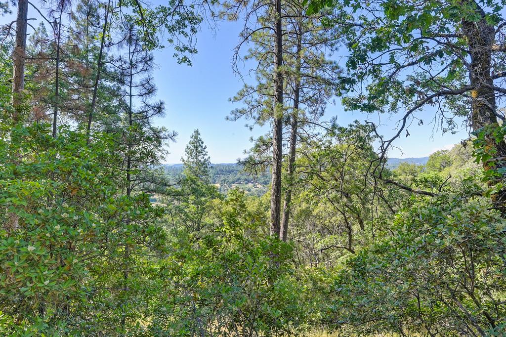 24316 Timber Ridge Drive