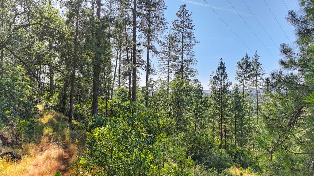 24316 Timber Ridge Drive