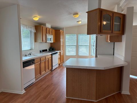 MLS: 225063409