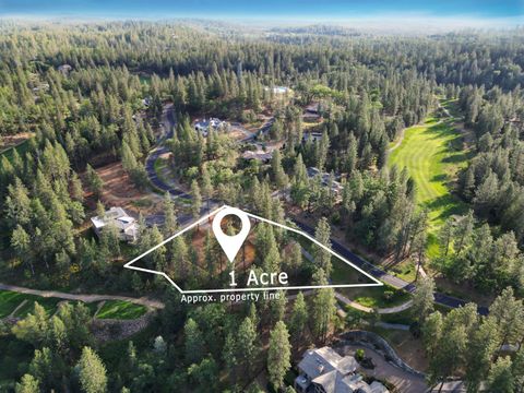 1682 The Point Road Meadow Vista CA 95722