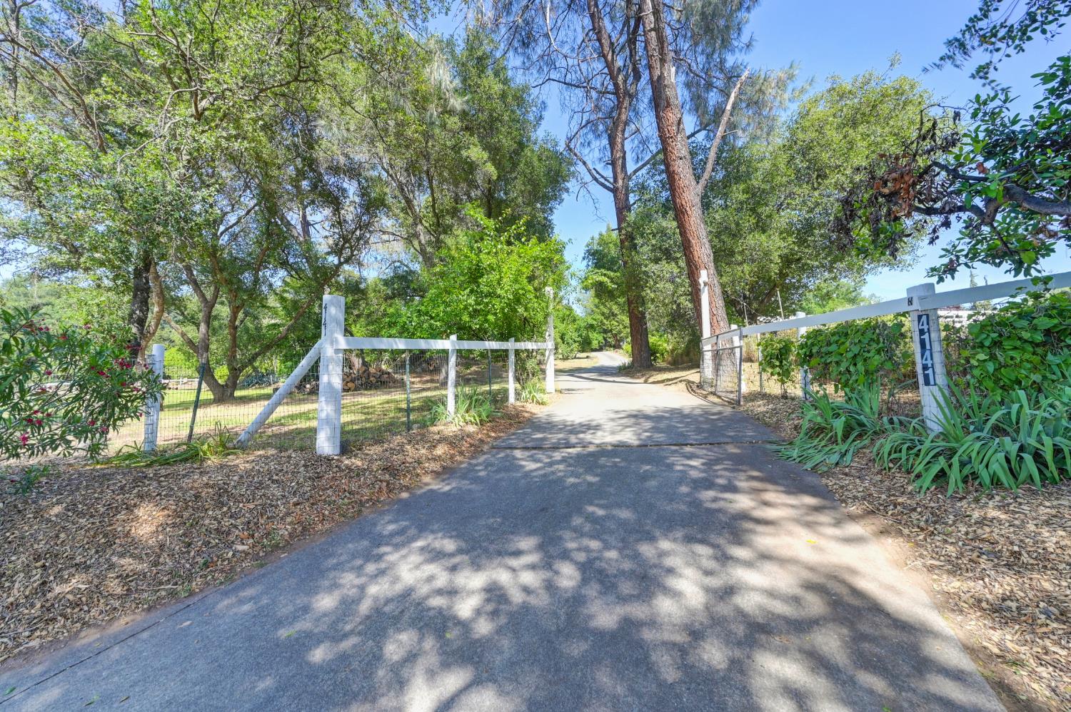 4141 Prospector Road