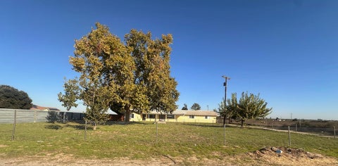 Featured picture for the property 225140764