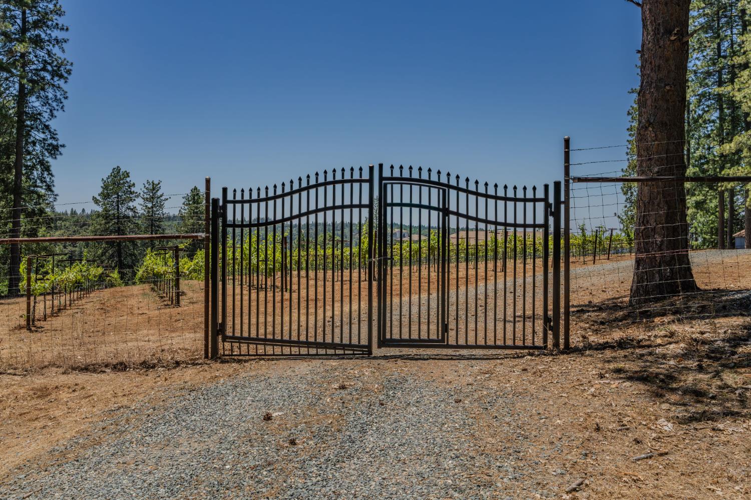 18591 Ponderosa Hills Road